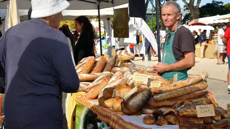 La Fête Bio des Landes est l'occasion de découvrir les intiatives et enjeux économiques locaux